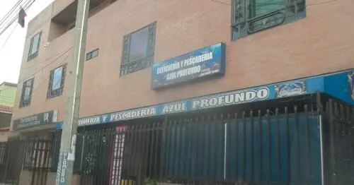 CEVICHERIA Y PESCADERIA AZUL PROFUNDO BOGOTÁ CEVICHERIA Y PESCADERIA AZUL PROFUNDO BOGOTÁ